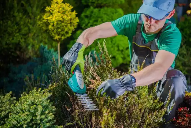 landscaping services Elmira Heights